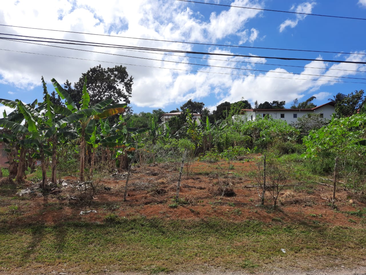 Preferred Realty - Real Estate, Jamaica W.I. +1(876) 940 0205